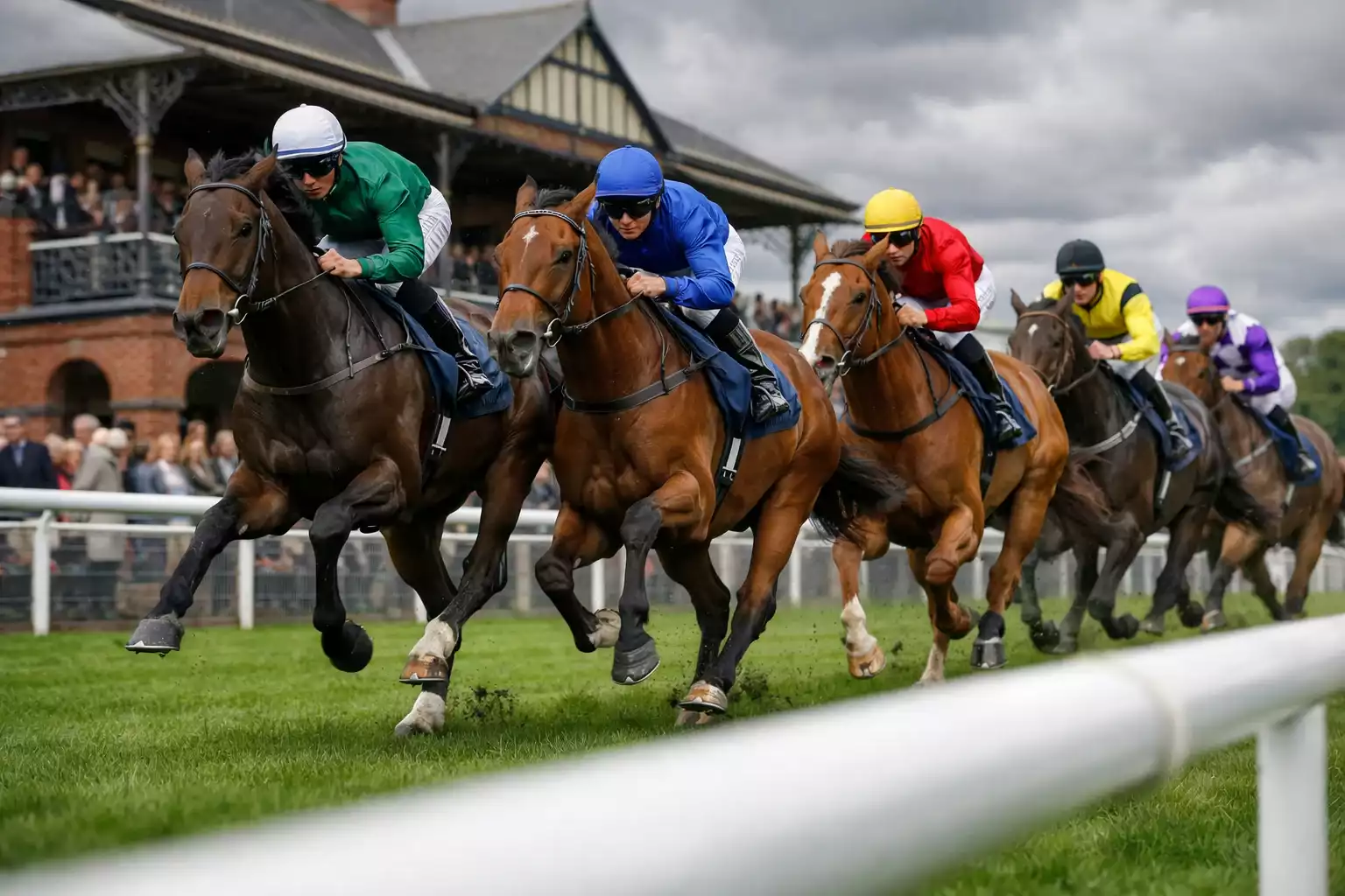 Galopprennen auf einer britischen Rennbahn mit grünem Rasen und historischer Tribüne