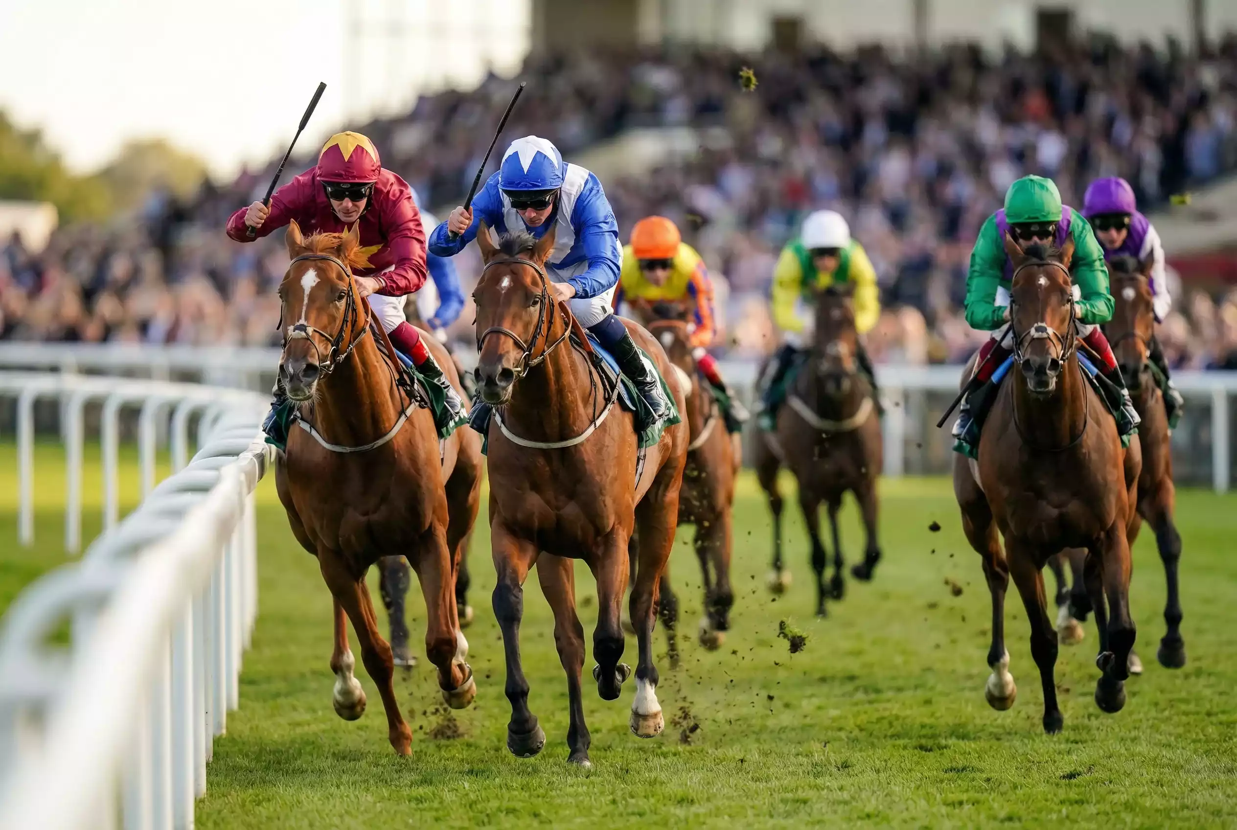 Pferdewetten Wettarten erklärt — Rennbahn mit Starterfeld
